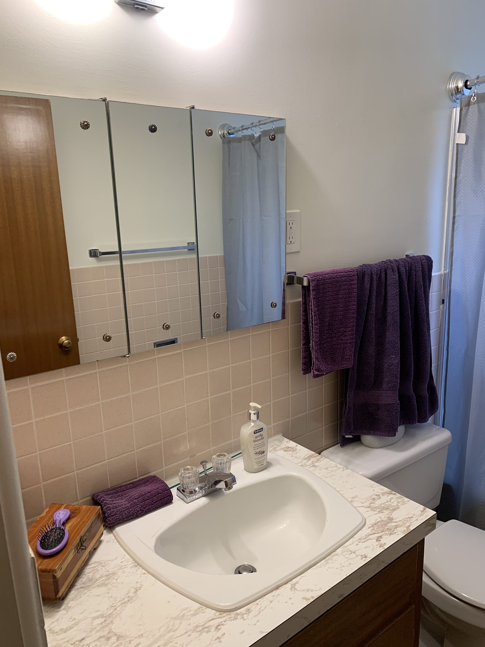 Bathroom before renovation at 5th Avenue