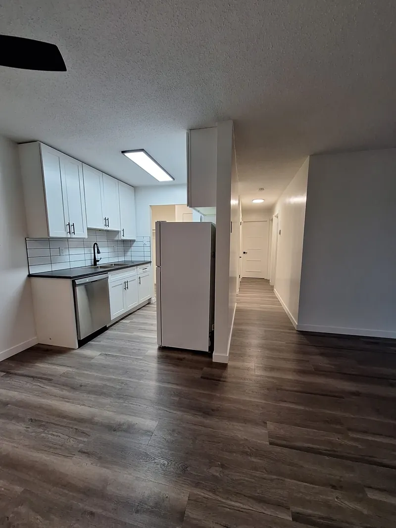 Renovated kitchen at College Drive