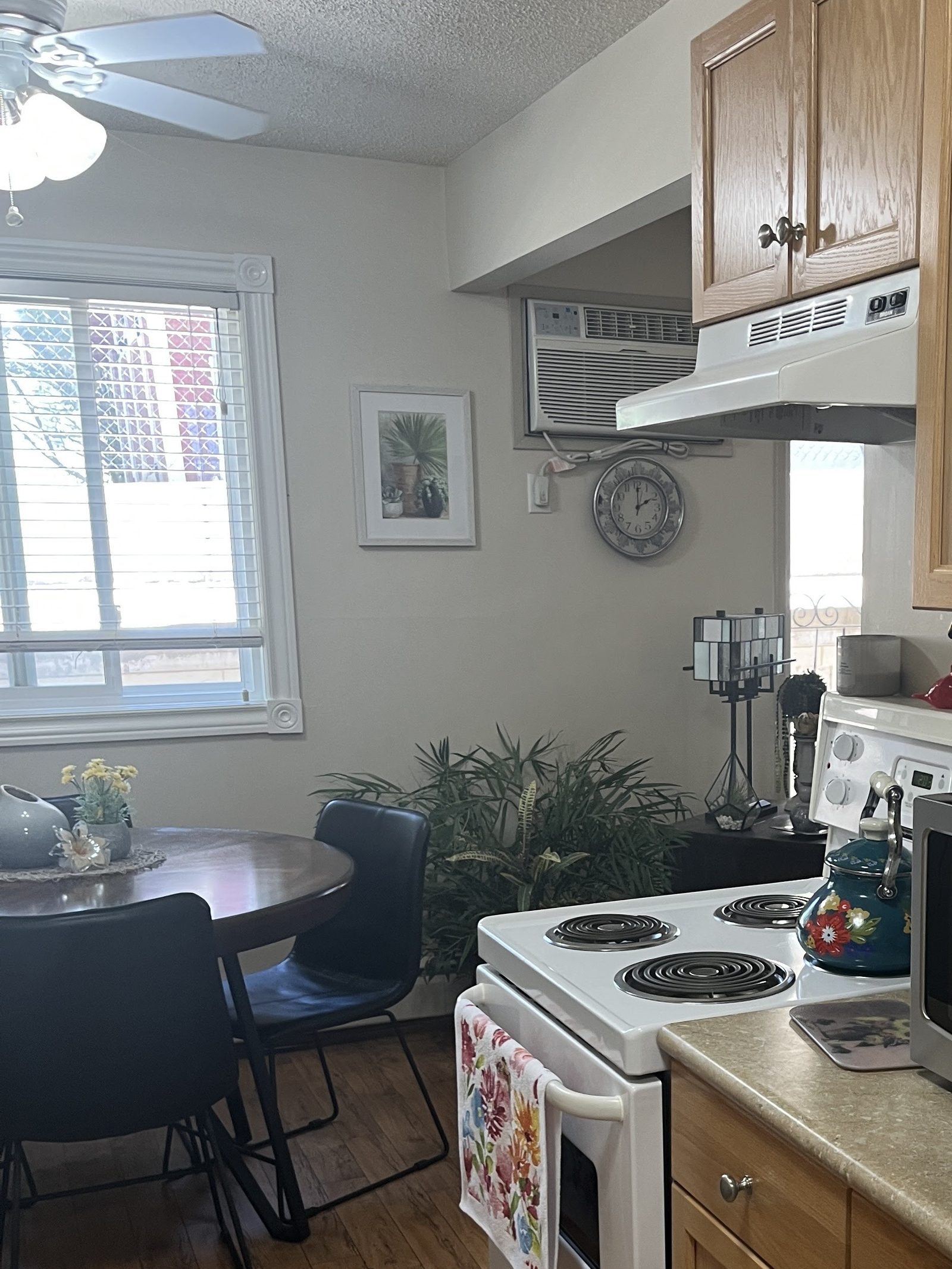 Suite kitchen at Valleyview with dining area and ceiling fan